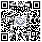 333体育