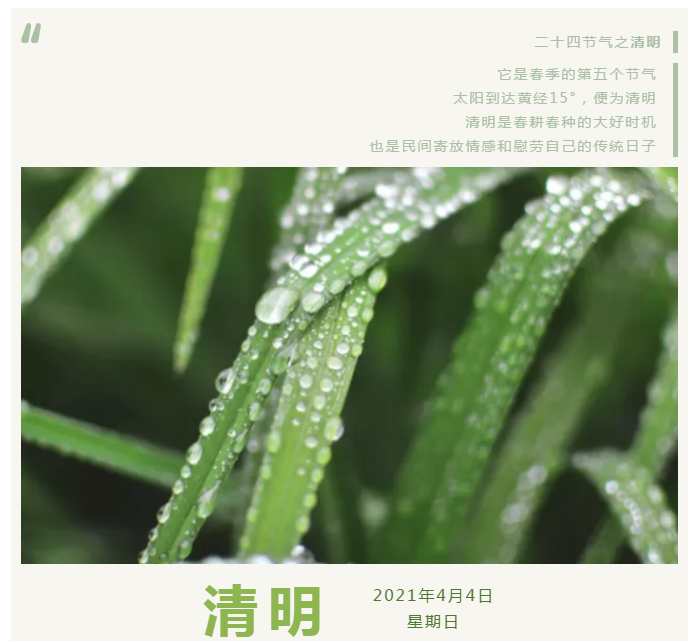 333体育