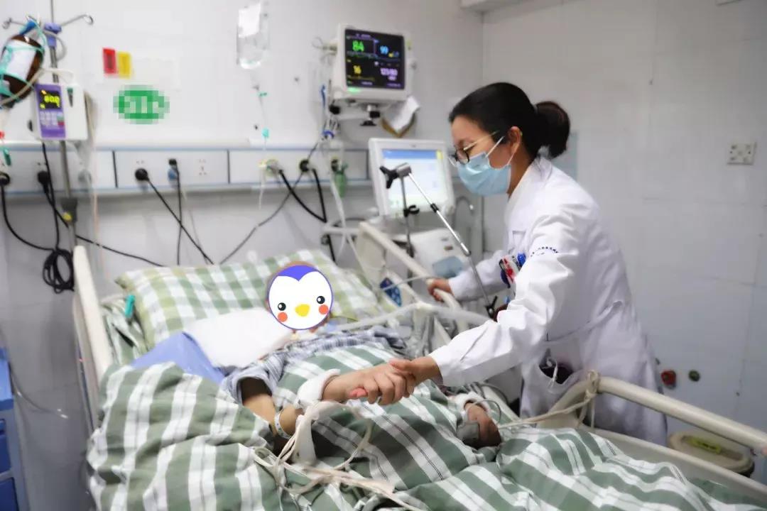 333体育